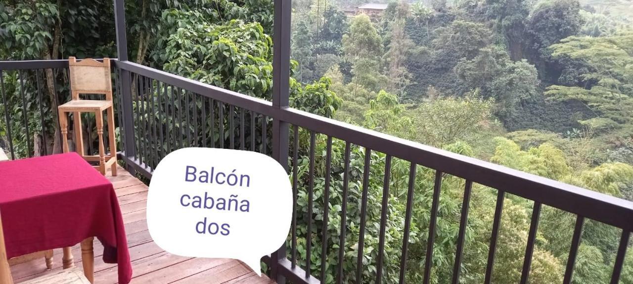 Hostal Y Cabanas Los Juanes Jardin Ngoại thất bức ảnh